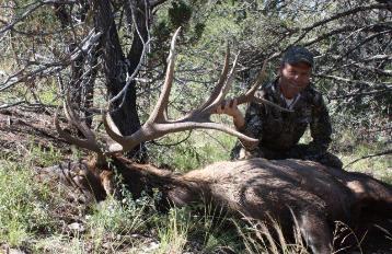 2012 Wapiti Ranch Elk Hunt